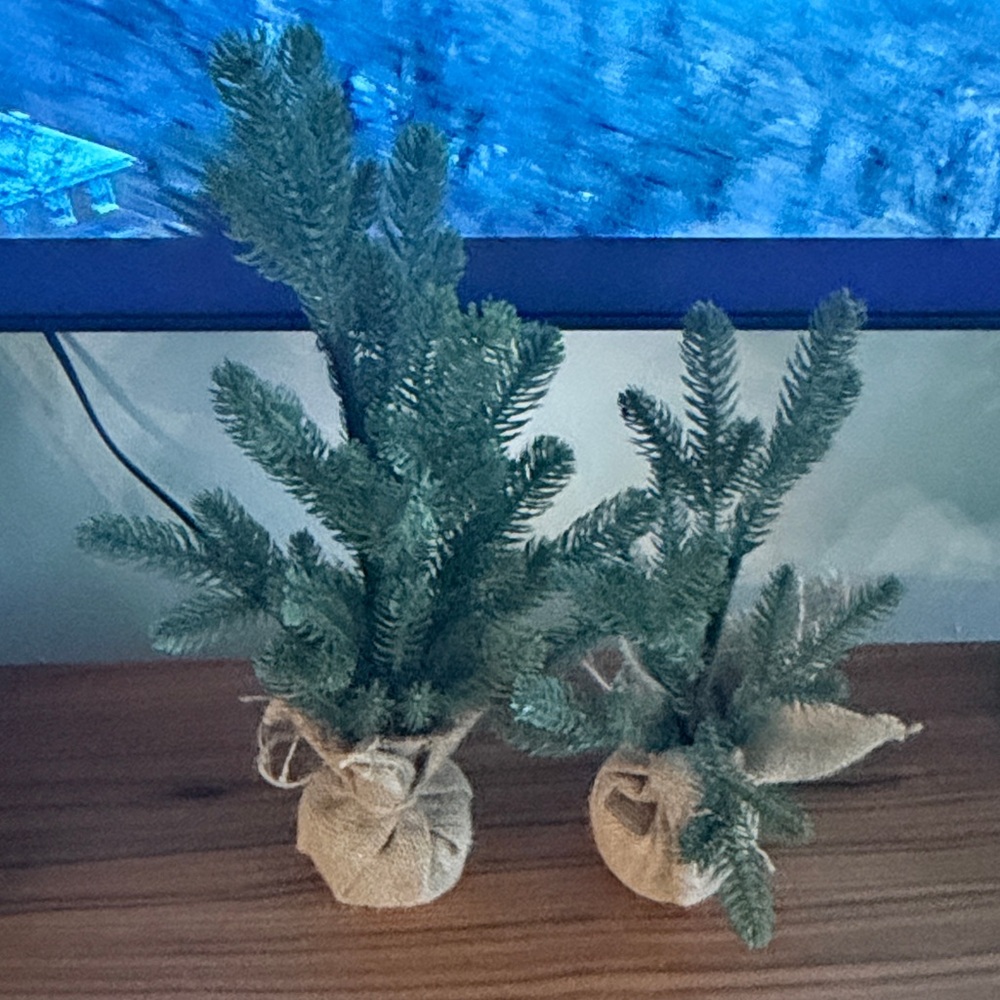 Artificial Green Pine Trees with Burlap Base